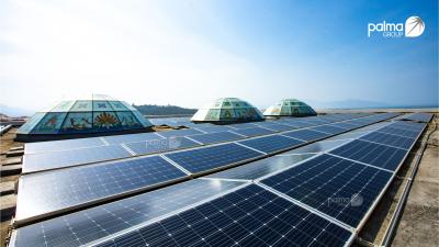 Why can the same solar technology deliver different performance across industrial plants?